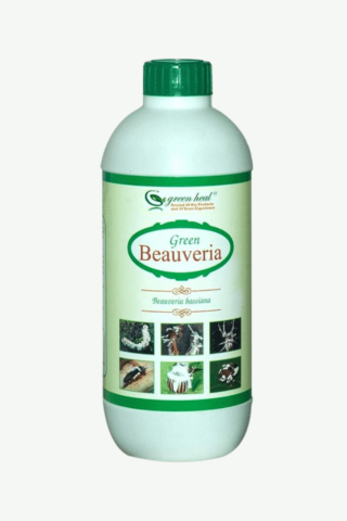 green beauveria bassiana buy online