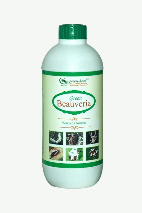 green beauveria bassiana buy online