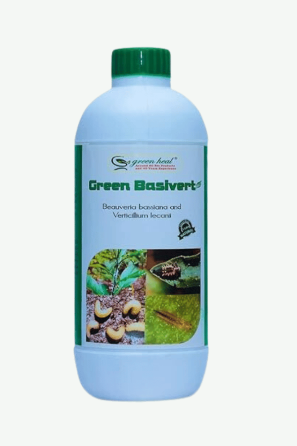 green basivert beauveria bassiana verticillium lecanii