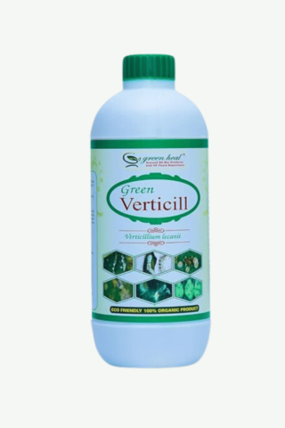 green verticillium lecanii buy online