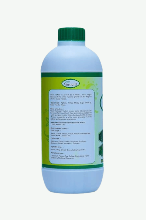 green verticillium lecanii buy online