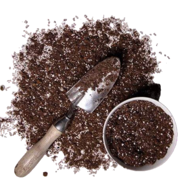 Green Vam -(Vesicular Arbuscular Mycorrhiza) Biofertilizer for Plants | Plant Root Booster | Organic Plant Boost Bio | Mycorrhizal Fungi | Vam Rooting Powder-3x Yields! - Image 5