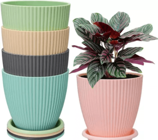 Round Flower Pots with tray for Home & Decoration Planters