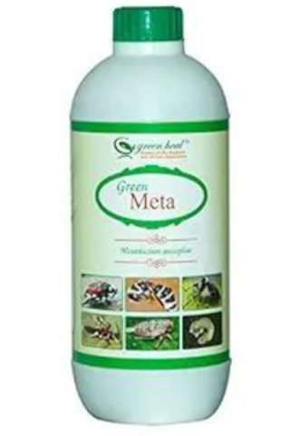 green metarhizium anisophliae - biopesticide buy online